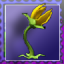 The Arbendus Flower