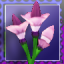 Pink Posies