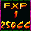 Expert Champion XIII