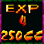Expert Champion XVI