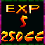 Expert Champion XVII