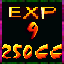 Expert Champion XXI