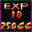 Expert Champion XXII