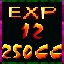 Expert Champion XXIV