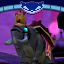 High-Class Elephant Riding