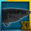 Megalodon