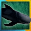 Blackfish Bagger