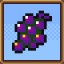 It's Raining Grapes