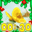 Jungle Speedrun