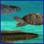 Rapids Ichthyologist