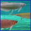 Ungerground Lake Ichthyologist