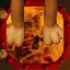 The Floor Is Lava