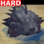 Tortoise in the Fast Lane [Hard]
