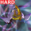 Thunderstruck [Hard]
