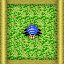 Spider Killer