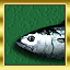 Not a True Tuna
