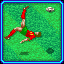 Jogo Bonito