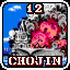 Chojin