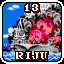 Riju