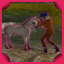 Run Afoul in the Forest