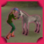 A Foal's Day Off