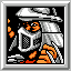 Handicap Expert VII