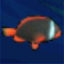 Born To Krill